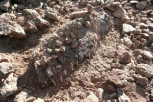 Sermononthemount_3 - Returning from Joshua Tree