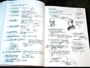 ColinWareJournalPage - Intention Guides Visual Perception